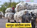 जळगाव जिल्ह्यातील कजगाव मार्केटला कापूस खरेदीला प्रारंभ, काय दर मिळाला?  - Marathi News | Latest News Kapus Matrket Cotton procurement begins at Kajgaon market in Jalgaon district | Latest agriculture News at Lokmat.com