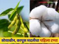 बँक खात्यात एक रुपया जमा करण्याची चाचणी झाली लवकरच कापूस व सोयाबीन मदत शेतकऱ्यांच्या खात्यावर - Marathi News | A trial was conducted to deposit one rupee in the farmers' accounts Cotton and Soybean aid to the farmers' accounts soon | Latest agriculture News at Lokmat.com