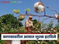 Cotton Import Duty : कापसावरील आयात शुल्क हटविले, भविष्यात बाजारावर काय परिणाम होईल? - Marathi News | Latest News cotton Import duty removed, impact on kapus market in future | Latest agriculture News at Lokmat.com