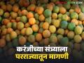 नागपूरच्या तोडीस तोड करंजीची संत्री, व्यापाऱ्यांकडून जागेवर खरेदी; वाचा कसा मिळतोय दर? - Marathi News | Oranges from Karanji is popular as like Nagpur, bought on the spot from traders; Read how to get the price? | Latest agriculture News at Lokmat.com