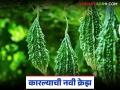 Karela Farming : पारंपरिक पिकांना रामराम; कारल्याची गोडी का वाढतेय? वाचा सविस्तर - Marathi News | latest news Karela Farming: Goodbye to traditional crops; Why is the sweetness of karela increasing? Read in detail | Latest agriculture News at Lokmat.com