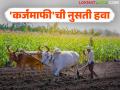 Karja Mafi Maharashtra : आतापर्यंतच्या केंद्र व राज्याच्या कर्जमाफी योजनेतून किती वेळा झाली कर्जमाफी? वाचा सविस्तर - Marathi News | Karja Mafi Maharashtra : How many times has loan waiver been done under the Central and State loan waiver scheme so far? Read in detail | Latest agriculture News at Lokmat.com