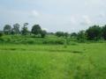 निनावी पत्राने भूमाफियांचे मनसुबे मिळणार धुळीला - Marathi News | The anonymous letter washed away the plans of the landowners | Latest raigad News at Lokmat.com