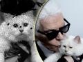 अग्गो बया... 'ही' मांजर होणार २०० मिलियन डॉलर्सची मालकीण? - Marathi News | Karl Lagerfield pet cat choupette might become richest cat after his death | Latest jarahatke Photos at Lokmat.com