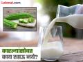 कारल्यासोबत 'या' गोष्टींचं सेवन ठरू शकतं घातक, डॉक्टरांकडे जाण्याची येईल वेळ! - Marathi News | Avoid these 5 healthy foods with karela or bitter gourd together in diet | Latest health Photos at Lokmat.com