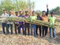 अबब...दहा गुंठ्यात ४४ टनांचा तीस फुटी ऊस - Marathi News | Abb ... Thirty feet of sugarcane of 5 tonnes in ten knots | Latest solapur News at Lokmat.com