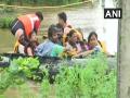 Floods : महाराष्ट्रासह चार राज्यात पावसाचा कहर; 125 जणांचा मृत्यू - Marathi News | flood hits worst 4 states more than 125 killed | Latest national News at Lokmat.com