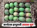 यंदा मार्केटमध्ये प्रथमच कर्नाटक हापूसची आवक; वाचा ४ डझनाच्या पेटीला कसा मिळाला दर? - Marathi News | Karnataka Hapus arrived in the market for the first time this year; Read how the price was obtained for a box of 4 dozen? | Latest agriculture News at Lokmat.com
