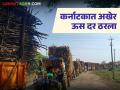 कर्नाटकात ऊस दर प्रश्नावर तोडगा निघाला; किती दिला दर? काय झाला निर्णय? वाचा सविस्तर - Marathi News | A solution has been reached on the sugarcane price issue in Karnataka; How much price was given? What was the decision? Read in detail | Latest agriculture News at Lokmat.com