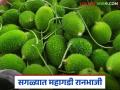 Ranbahji Market : सोलापूरच्या 'ह्या' रानभाजीला पुण्यात मिळतोय किलोला ३०० रुपये दर - Marathi News | Ranbahji Market : 'This' wild vegetable from Solapur is getting a price of Rs 300 per kg in Pune | Latest agriculture News at Lokmat.com