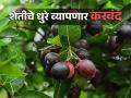 शेतकऱ्यांनी लढवली शक्कल; यंदा करवंदाने धुरे व्यापणार - Marathi News | Farmers build the idea; This year, Karvanda will occupy Dhure | Latest agriculture News at Lokmat.com