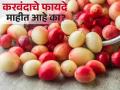 करवंद खाल्ले तर खूप असतील, पण तुम्हाला याचे फायदे माहीत नसतील! - Marathi News | Health Benefits of Karonda: Here's How You Can Include It In Your Diet | Latest health News at Lokmat.com