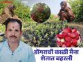 Farmer Success Story : करवंदाच्या शेतीने सदाशिवरावांच्या आयुष्यात आणला गोडवा! वाचा त्यांची यशकथा सविस्तर - Marathi News | Farmer Success Story: Karvanda farming brought sweetness to Sadashiv Rao's life! Read his success story in detail | Latest agriculture News at Lokmat.com