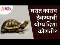 घरात कासव ठेवण्याची योग्य दिशा कोणती? Lokmat Bhakti - Marathi News | What is the right direction to keep a turtle in the house? Lokmat Bhakti | Latest bhakti Videos at Lokmat.com