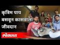 कृत्रिम पाय बसवून कासवाला जीवदान | Survival of the Tortoise with Artificial Legs | Santosh Walvekar - Marathi News | Survival of turtles with prosthetic legs | Survival of the Tortoise with Artificial Legs | Santosh Walvekar | Latest maharashtra Videos at Lokmat.com