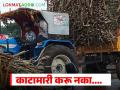 शेतकऱ्यांनो, उसाच्या वजन काट्यात तफावत, काटामारी करून कारखाने खिसे भरताय का? - Marathi News | Latest News Sakhar karkhane Sugar factories should use AI technology on weighing scales | Latest agriculture News at Lokmat.com