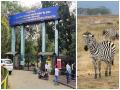 कात्रज प्राणी संग्रहालयाचे तिकीट आता ऑनलाईन मिळणार - Marathi News | Tickets for Katraj Zoological Museum are now available online | Latest pune News at Lokmat.com