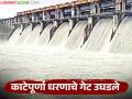 Katepurna Dam Water Release : काटेपूर्णा धरणाचे आठ गेट उघडले; किती क्युमेक्स पाण्याचा विसर्ग सुरू वाचा सविस्तर - Marathi News | latest news Katepurna Dam Water Release: Eight gates of Katepurna Dam opened; How many cumex of water is being released? Read in detail | Latest agriculture News at Lokmat.com