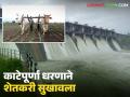 Rabi Crops Boost : काटेपूर्णा धरणाने फुलविले हिरवे स्वप्न; रब्बी पिकांना नवे बळ वाचा सविस्तर - Marathi News | latest news Rabi Crops Boost: Katepurna Dam has made green dreams come true; Rabi crops get new strength Read in detail | Latest agriculture News at Lokmat.com
