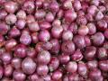 कांद्याच्या दरात घसरण; लवकरच दर शंभरीच्या आत - Marathi News | Onion prices fall; Soon within under hundred rupess | Latest thane News at Lokmat.com