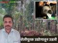 Farmer Success Story केळकरांनी शेतीला दिली प्रक्रिया उद्योगाची जोड उत्पन्नाला नाही तोड - Marathi News | Farmer Success Story Kelkar do farming with processing business get good income | Latest agriculture News at Lokmat.com