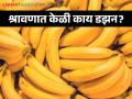 Banana Market : श्रावणात केळीला क्विंटलमागे काय भाव मिळतोय? वाचा आजचे बाजारभाव - Marathi News | Latest News Banana market price for per kilo on shravani somwar see details | Latest agriculture News at Lokmat.com