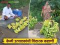 Banana Market : 'कष्टाचं सोनं मातीमोल!' रस्त्यावर केळी विकण्याची वेळ वाचा सविस्तर - Marathi News | latest news Banana Market: 'Hard work is worth the price of gold!' Read the details of the time to sell bananas on the street | Latest agriculture News at Lokmat.com