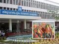 भाजप शासित महानगरपालिकेचा केरळात स्वपक्षाला दणका, केली अशी कारवाई - Marathi News | BJP-ruled municipal corporation takes action against its own party in Kerala | Latest national News at Lokmat.com