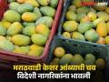 यंदा मराठवाड्यातून सुमारे ५० हजार मेट्रिक टन केशर आंबा युरोप, अमेरिकेत निर्यात - Marathi News | This year, about 50 thousand metric tons of saffron mangoes are exported from Marathwada to Europe and America | Latest chhatrapati-sambhajinagar News at Lokmat.com