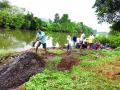 जॅकवेलमधून ग्रामस्थांनी काढला गाळ - Marathi News | Villagers removed silt from Jackwell | Latest raigad News at Lokmat.com