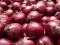 Onion Export: बांगलादेश, मॉरिशससह चार देशांना ३१ मार्चपर्यंत विकता येईल कांदा - Marathi News | Onion Export: Onion can be sold to four countries including Bangladesh, Mauritius till March 31 | Latest agriculture News at Lokmat.com