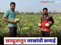 दोघा चुलत भावांनी एकत्र येत केला खरबूज शेतीचा यशस्वी प्रयोग; दोन महिन्यांत ११ लाखांची कमाई - Marathi News | Two cousins came together and successfully experimented with melon farming; earned Rs 11 lakh in two months | Latest agriculture News at Lokmat.com