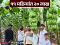 Farmer Success Story : खारे बंधूंची किमया, दीड एकरातून घेतले २० लाखांच्या केळीचे उत्पादन - Marathi News | Farmer Success Story : Khare brothers farming, banana production worth Rs 20 lakhs from one and a half acres | Latest agriculture News at Lokmat.com
