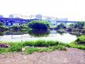 खारघरमध्ये तलावाचे काम सुरू - Marathi News | The work of pond at Kharghar | Latest raigad News at Lokmat.com