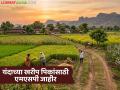 खरीपातील १४ पिकांच्या किमान आधारभूत किमतींना केंद्रीय मंत्रिमंडळाची मंजुरी; वाचा किती झाली वाढ? - Marathi News | Union Cabinet approves minimum support prices for 14 Kharif crops; Read how much has been increased? | Latest agriculture News at Lokmat.com