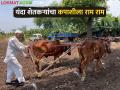 Kharif Cultivation दाभाडीतील शेतकऱ्यांचा कपाशी ऐवजी कडधान्य पेरणीकडे कल - Marathi News | Farmers in Dabhadi tend to sow pulses instead of cotton | Latest agriculture News at Lokmat.com