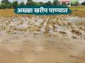 राज्यात खरीप हंगामातील ५२ लाख हेक्टरवरील पिके गेली पाण्यात; सर्वाधिक नुकसान कुठे? - Marathi News | Crops on 52 lakh hectares of Kharif season in the state were submerged; Where is the maximum loss? | Latest agriculture News at Lokmat.com