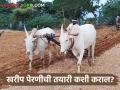 Kharif Sowing शेतकऱ्यांनो खरीप पेरणीसाठी बियाण्याची कशी कराल तयारी - Marathi News | Kharif Sowing How farmers prepare seeds for Kharif sowing | Latest agriculture News at Lokmat.com