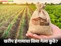 Pik Vima Yojana : खरीप गेला, रब्बी गेला… पण पीकविमा कुठे अडकला? वाचा सविस्तर - Marathi News | latest news Pik Vima Yojana: Kharif is gone, Rabi is gone… but where is crop insurance stuck? Read in detail | Latest agriculture News at Lokmat.com