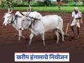 Kharif Season: खरीप 2025: लातूर जिल्ह्यात सोयाबीन पेरणीची जोरदार तयारी! वाचा सविस्तर - Marathi News | latest news Kharif Season: Kharif 2025: Intensive preparations for soybean sowing in Latur district! Read in detail | Latest agriculture News at Lokmat.com