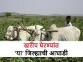Kharif Sowing: राज्यात आतापर्यंत किती पेरण्या झाल्या? कापूस आणि सोयाबीनची काय आहे स्थिती - Marathi News | Kharif Sowing: How many sowings have been done in Maharashtra at end of June, What is the status of cotton and soybeans? | Latest agriculture News at Lokmat.com