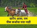 Kharip Crop Loan: खरीप अवघ्या आठ दिवसांवर आला, पण शेतकऱ्यांना मिळेना पीक कर्ज - Marathi News | ahead of Kharif season farmers could not get crop loans by banks | Latest agriculture News at Lokmat.com