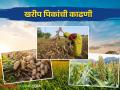 Kharif Crops :सोयाबीन, ज्वारी, मका, भात या खरीप पिकांची काढणी कधी करावी? वाचा सविस्तर - Marathi News | Latest News Kharif Crops When to harvest Kharif crops such as Soybean, Sorghum, Rice see details | Latest agriculture News at Lokmat.com