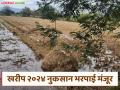Nuksan Bharpai : खरीप 2024 ची नुकसान भरपाई मंजूर, इथे वाचा जिल्हानिहाय संपूर्ण यादी  - Marathi News | Latest News Nuksan Bharpai Kharif 2024 compensation approved, read complete district-wise list here | Latest agriculture News at Lokmat.com