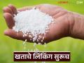 युरिया हवा असेल तर इतर खते घेण्याची शेतकऱ्यांना सक्ती; खत दुकानदारांकडून लिंकिंग सुरूच - Marathi News | Farmers forced to buy other fertilizers if they want urea; Linking by fertilizer shopkeepers continues | Latest agriculture News at Lokmat.com