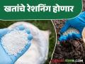 खरीप हंगामात खतांचा पुरवठा समप्रमाणात होण्यासाठी कृषी विभागाने घेतला 'हा' मोठा निर्णय - Marathi News | The Agriculture Department took 'this' big decision to ensure equal supply of fertilizers during the Kharif season. | Latest agriculture News at Lokmat.com