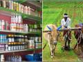 Agriculture Sector Sangli : सांगलीत विनापरवाना व जादा दराने खत विक्रीबद्दल ३३ परवाने निलंबित - Marathi News | 33 licenses suspended for selling fertilizer without license in Sangli | Latest sangli News at Lokmat.com