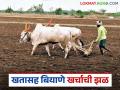 Agriculture News : मिश्र खताची बॅग 255, बीटी बियाणे 37 रुपयांनी महाग? जाणून घ्या सविस्तर  - Marathi News | Agriculture News Mixed fertilizer bag costs Rs 255, Bt seeds cost Rs 37? Know the details | Latest agriculture News at Lokmat.com
