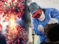 सावधान! Langya Virus ने वाढवलं टेन्शन; किडनी-लिव्हरवर करतोय अटॅक, 'ही' आहेत 12 लक्षणं - Marathi News | langya virus or henipavirus found in china keep eyes on these fever cough like 12 symptoms | Latest national Photos at Lokmat.com