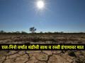 अलनिनो वर्षात काय काय झाले हवामानात बदल? - Marathi News | What happened to the climate change during El Nino year? | Latest agriculture News at Lokmat.com